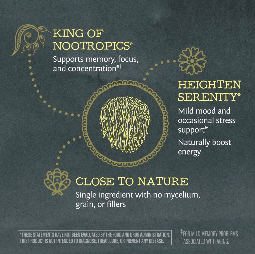 Sunwarrior Lion's Mane Mushroom Powder
