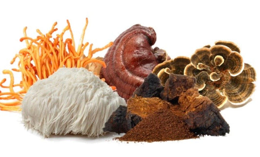 An Introduction to Functional Mushrooms: Natural Allies for Holistic Wellness