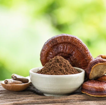Mushroom Powders and Supplements