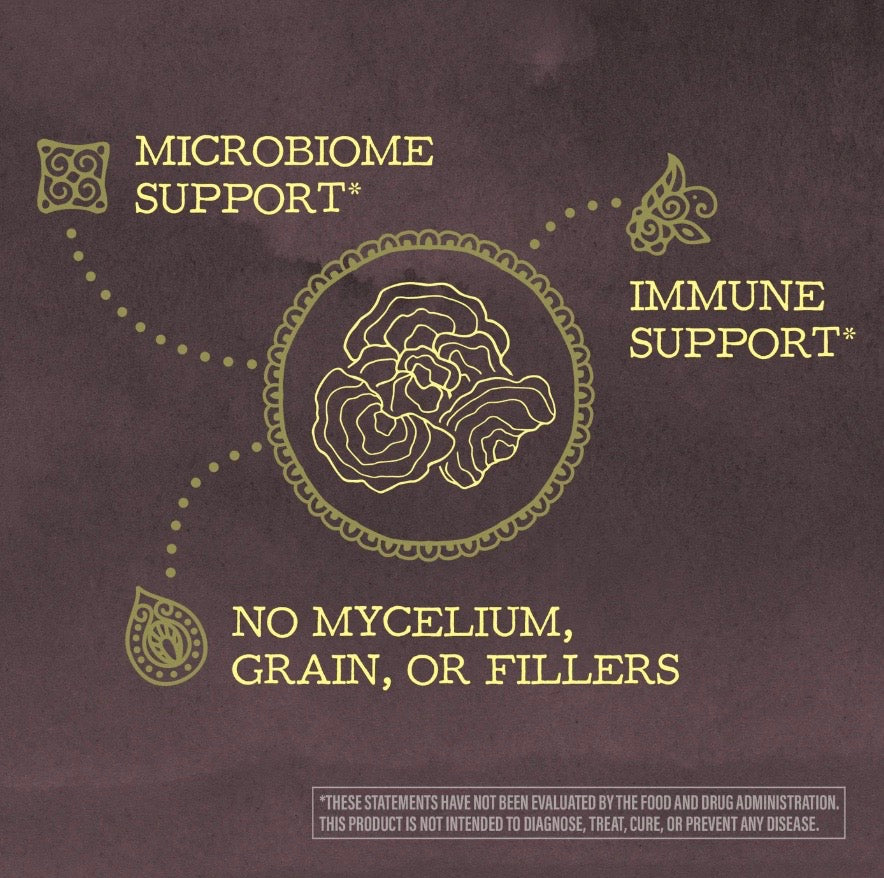 Sunwarrior Turkey Tail Mushroom Powder